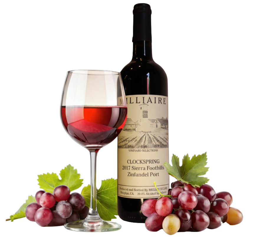a glass of wine, a wine bottle, and grapes